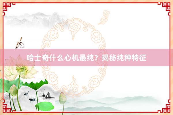 哈士奇什么心机最纯？揭秘纯种特征
