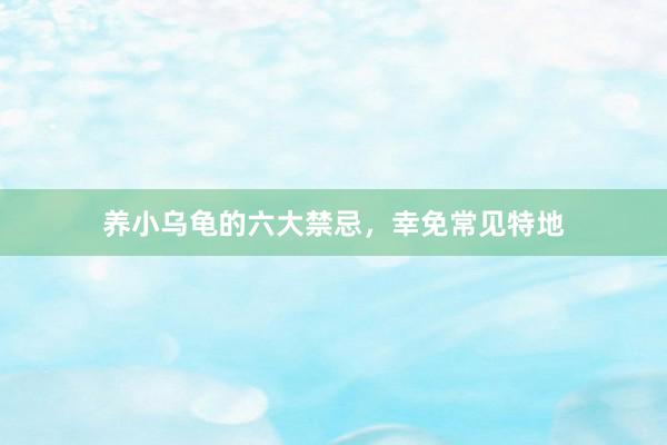 养小乌龟的六大禁忌，幸免常见特地